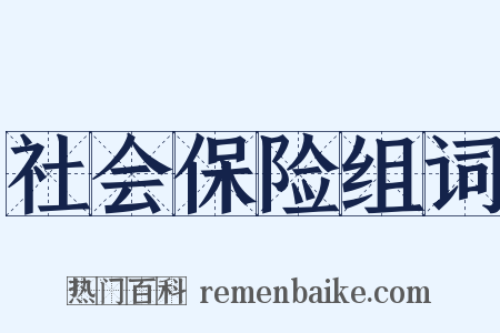 社会保险组词是什么意思的图片